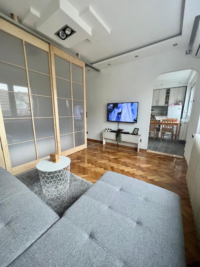 Comfortable Apartment In City Hub Belgrad Exteriör bild