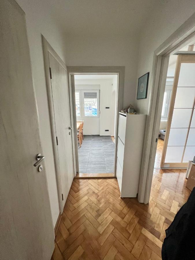 Comfortable Apartment In City Hub Belgrad Exteriör bild