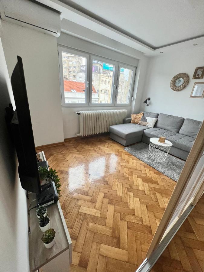 Comfortable Apartment In City Hub Belgrad Exteriör bild