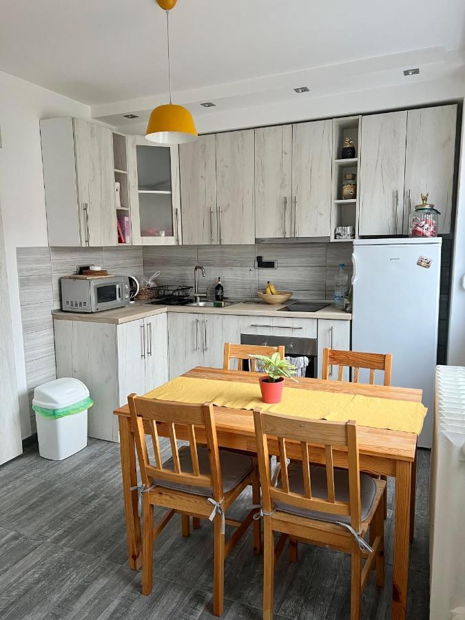 Comfortable Apartment In City Hub Belgrad Exteriör bild